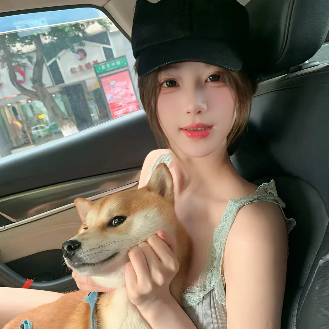 齐姆与友
