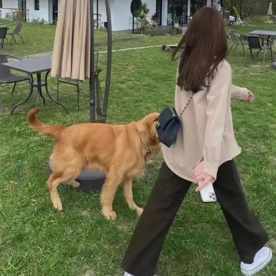 这不是葬礼，这是复活